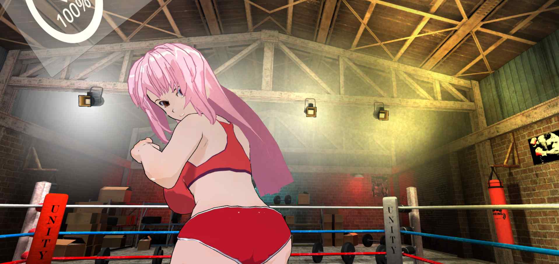 Hentai Fighters VR