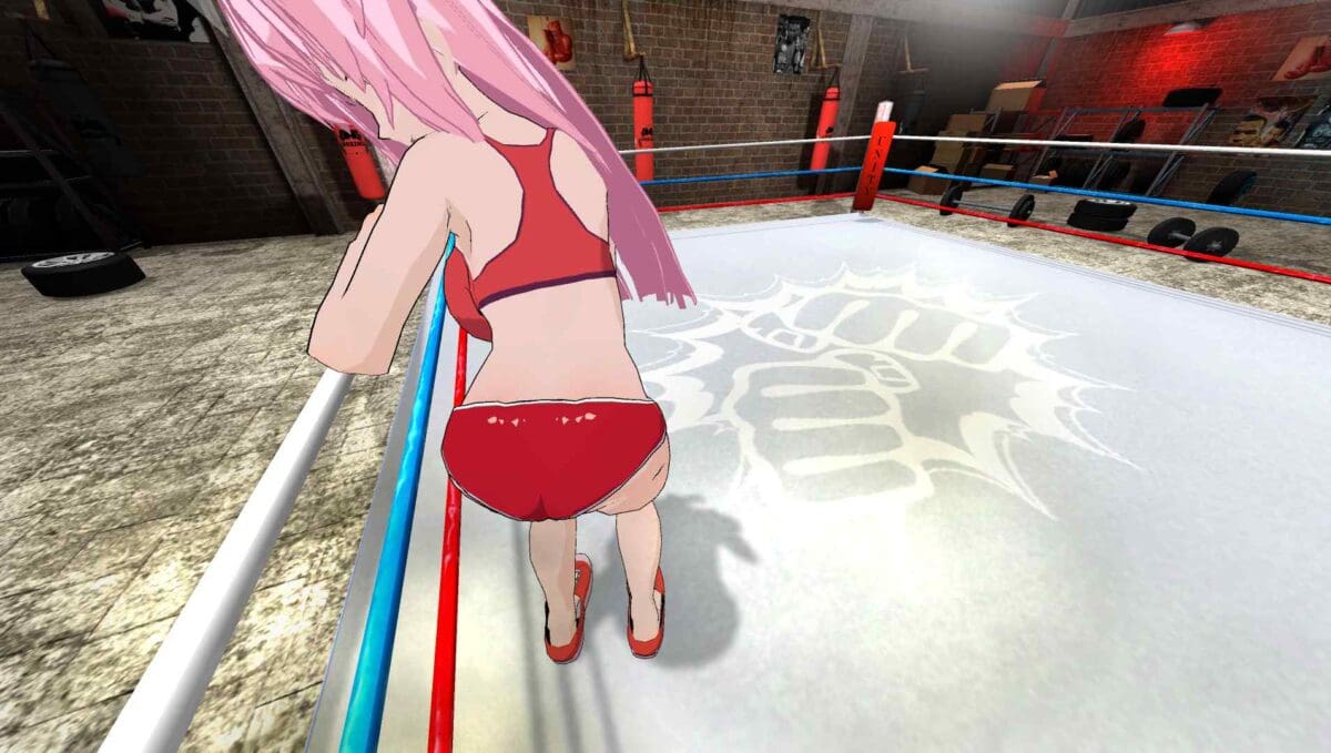 Hentai Fighters VR